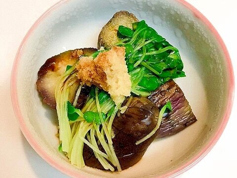 茹で茄子とかいわれ大根の生姜醤油